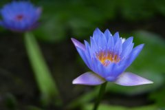 岳麓區制作網站基本步驟有哪些